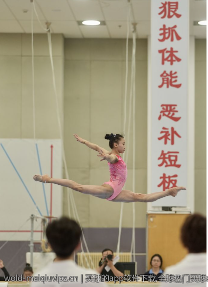 买球的app软件下载,全球热门买球app软件下载平台
