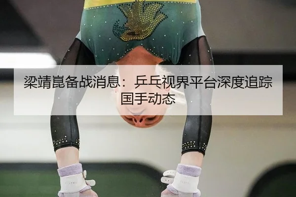 梁靖崑备战消息：乒乓视界平台深度追踪国手动态